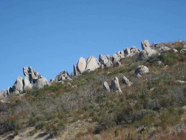 SoCal062_e1fbc0db0ffcefbc0a7c9b4e764985cb6fce8852.jpg