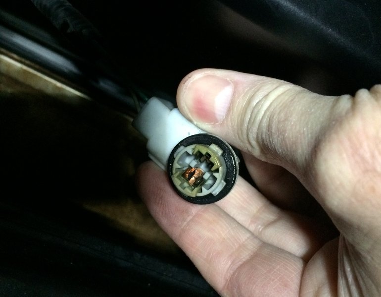 Socket 1.jpg