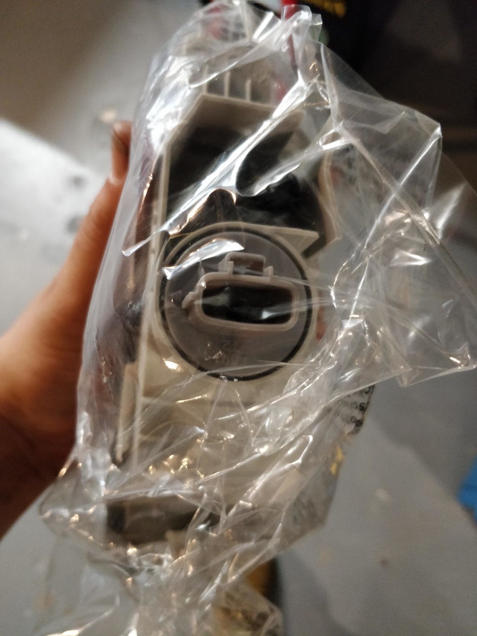 socket.jpg