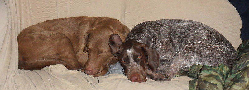 sofa.jpg