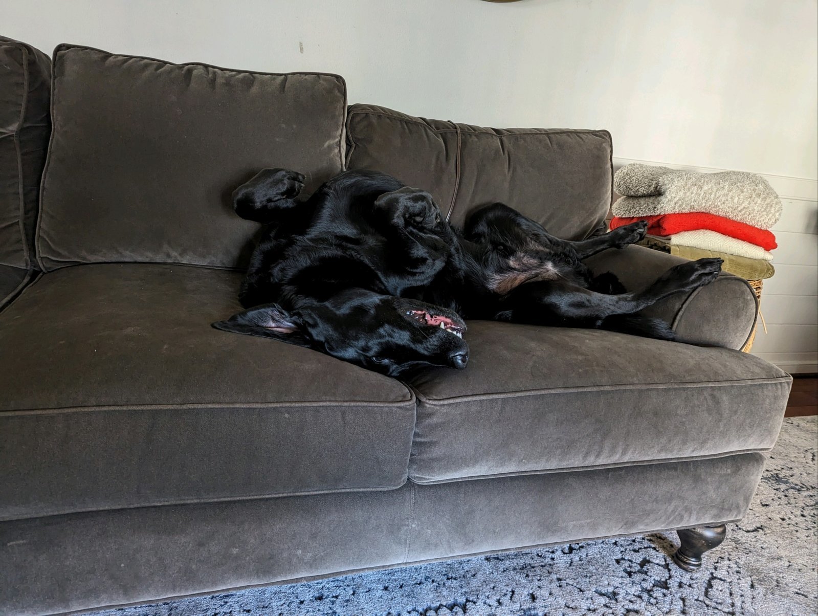 sofa.jpg