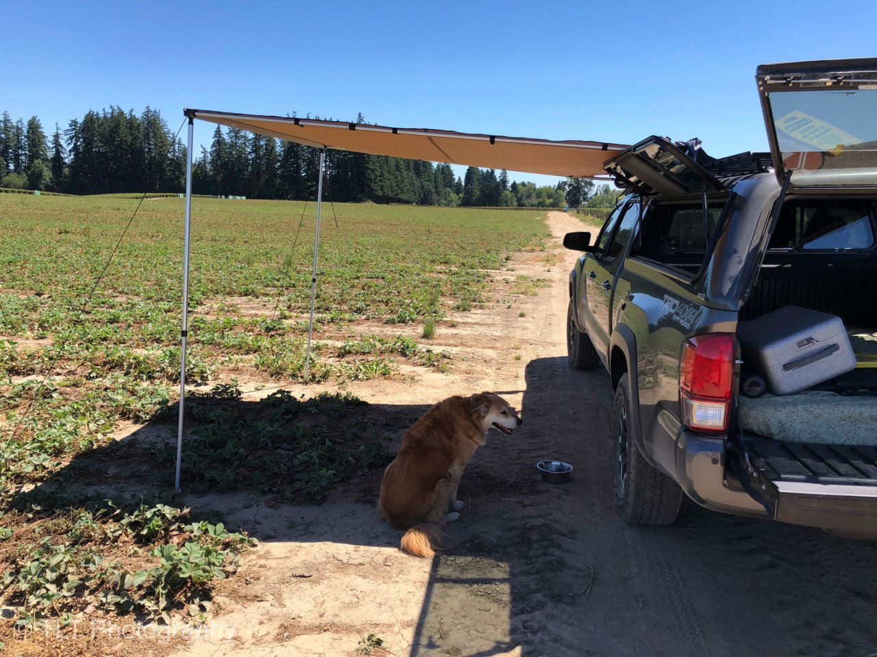 Solar_Farm_Sites_7-10-18_11.jpg