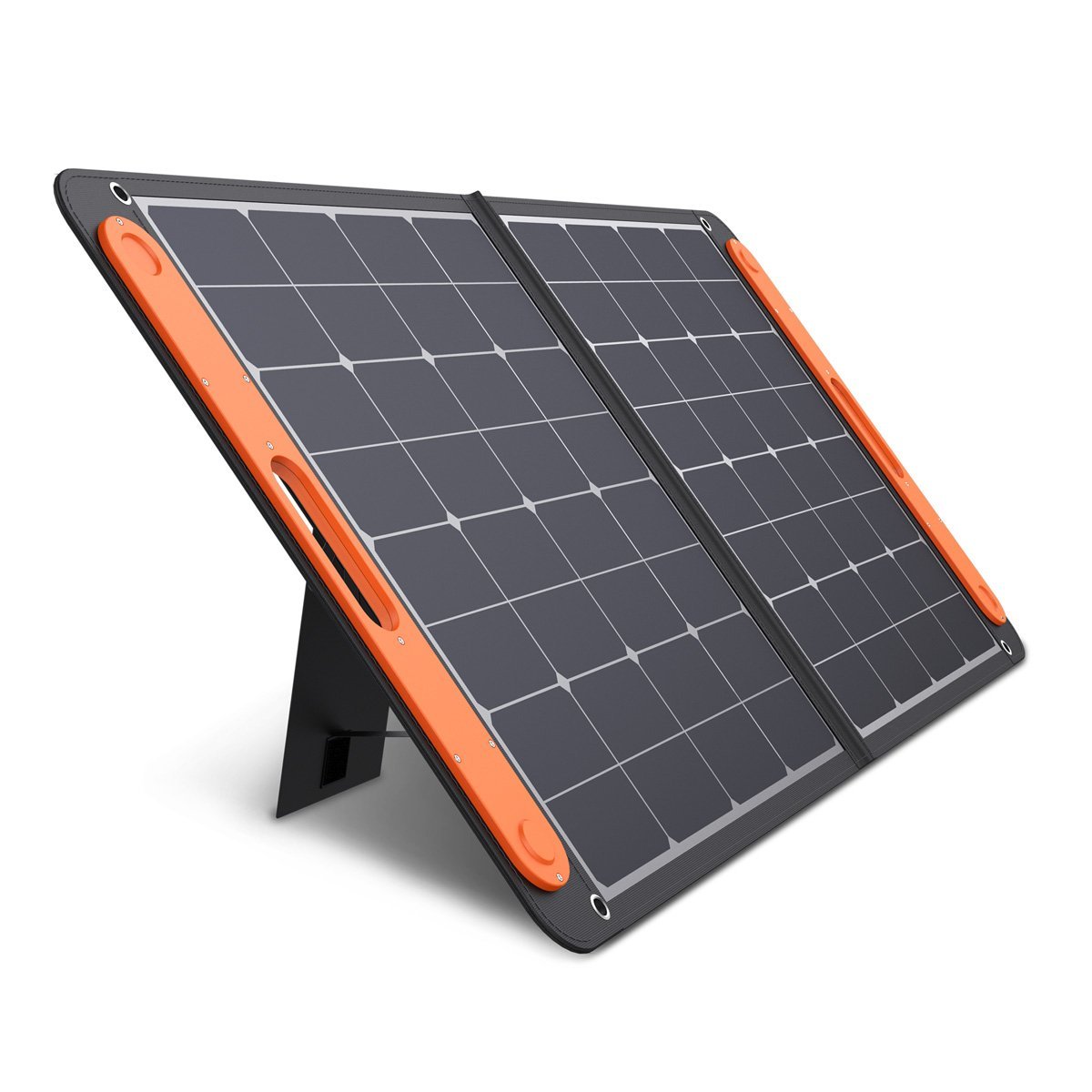 SolarSaga_100W.jpg