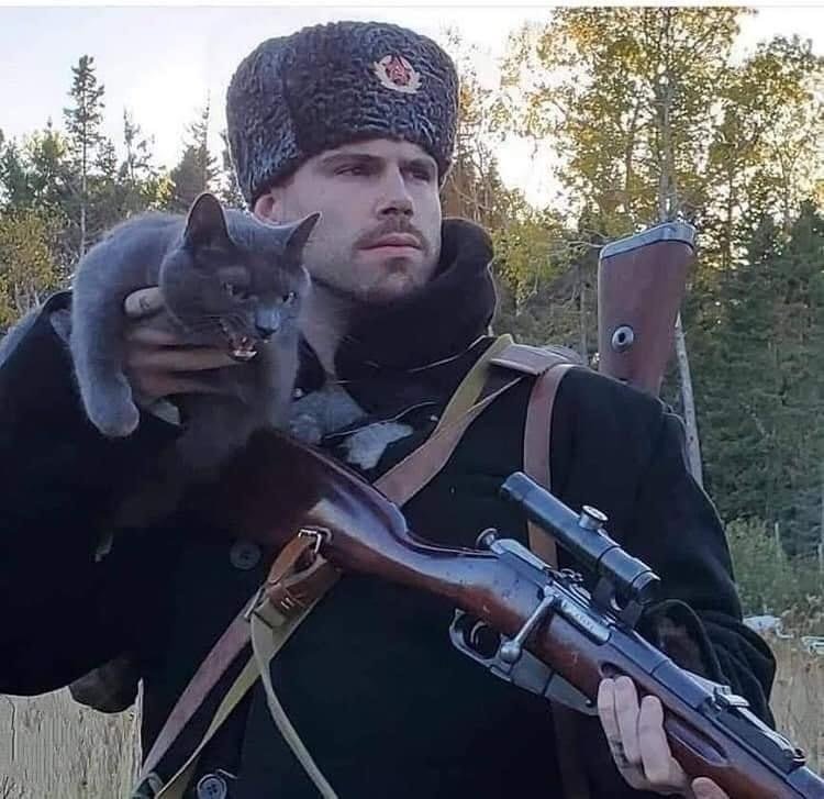 soldier-attack-cat.jpg