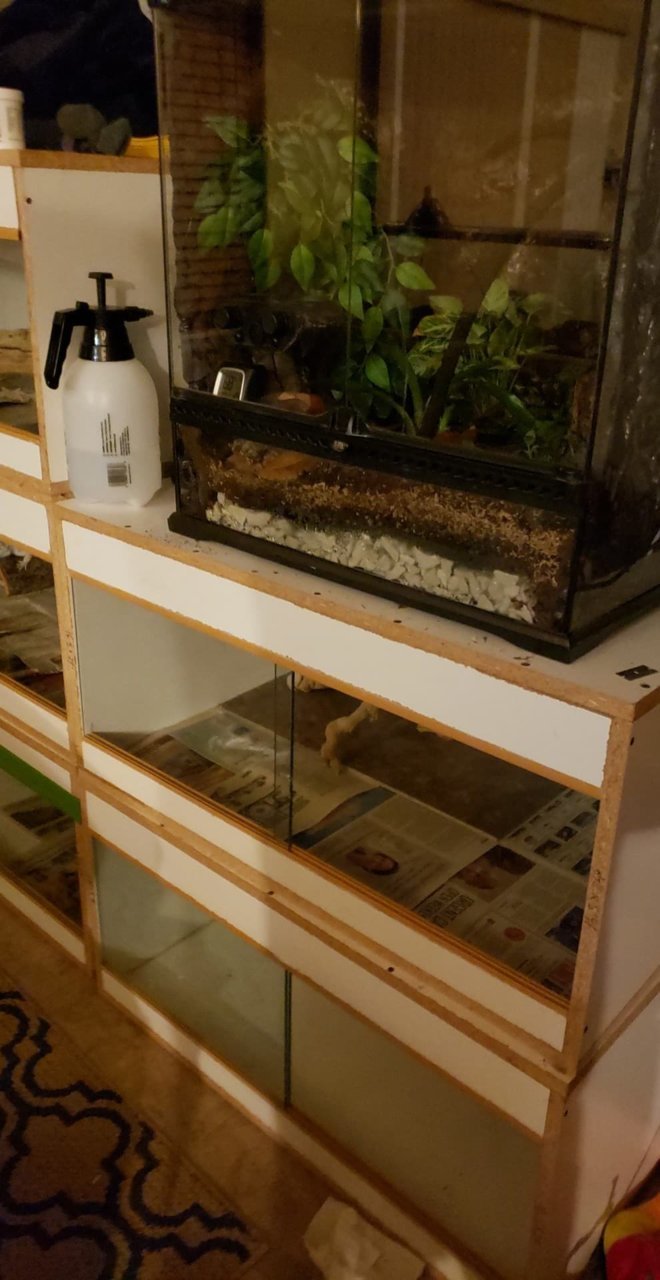 Some of the reptiles enclosures.jpg