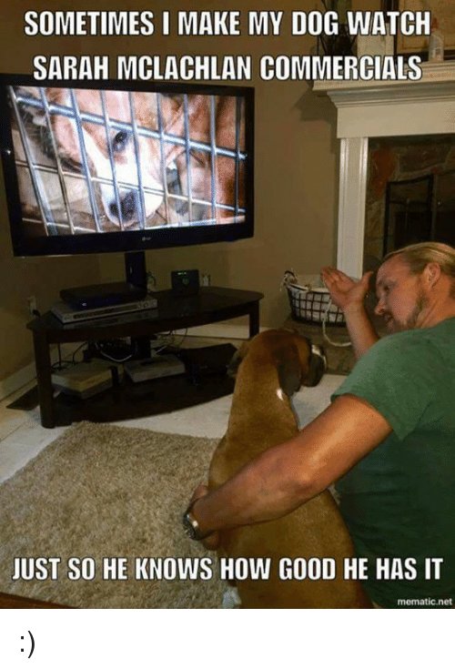 sometimes-i-make-my-dog-watch-sarah-mclachlan-commercials-just-11818846.jpg