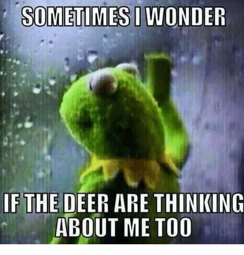 sometimes-i-wonder-ifthe-deer-are-thinking-about-me-too-26880396.jpg