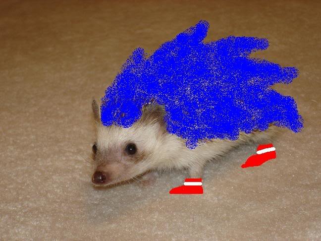 Sonictrish_f2208979e22e408e7000252216d92751dd18ad63.jpg