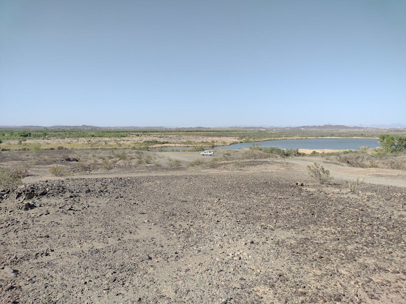 Sonoran Desert.jpg