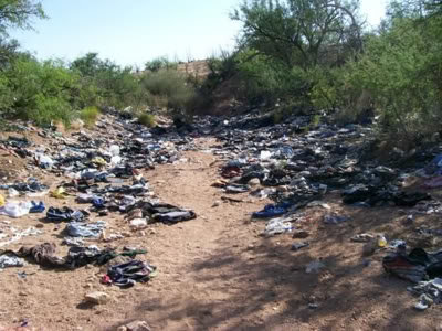 sonoran2_ba7dbe7b032d7d234e4bd484685ded109ae0db5e.jpg