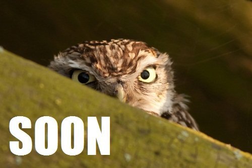 soon-26113.jpg