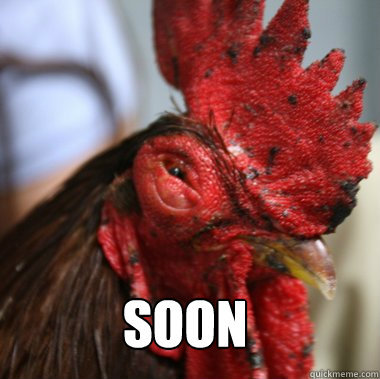 soon rooster.jpg