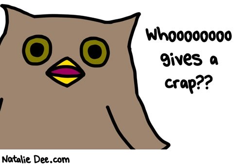 sorry-my-owl-looks-like-a-furby_6a2c18c631d389d5a9d9928303654842f470ccf2.jpg
