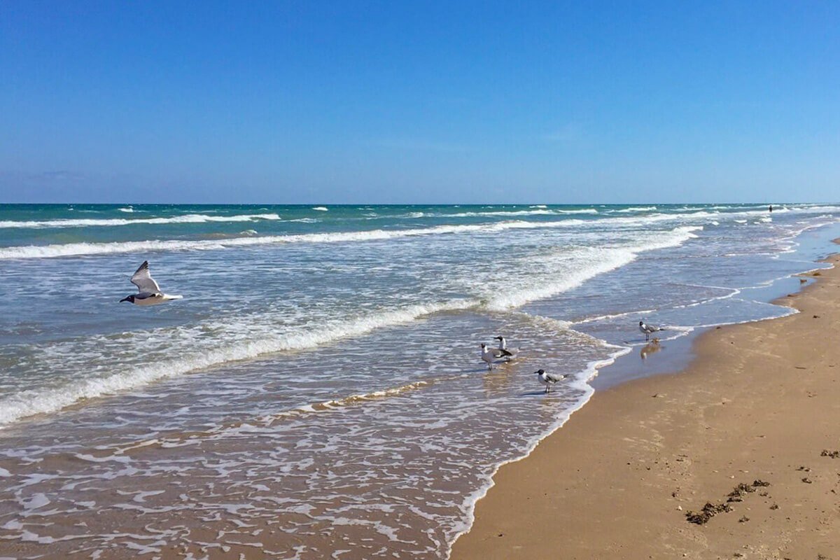 south-padre-island-beach.jpg