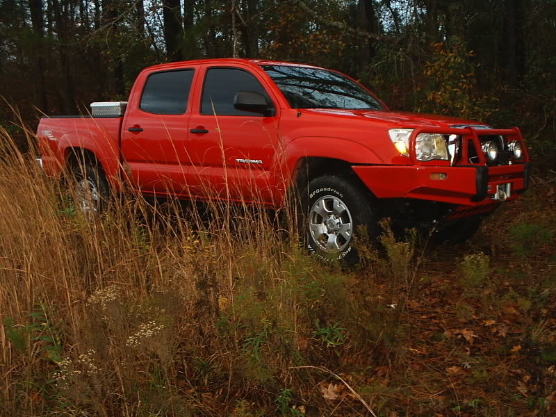 southcarolinawoods002_db007eb2befff1f1bb8fdb9213053efd59041dd4.jpg