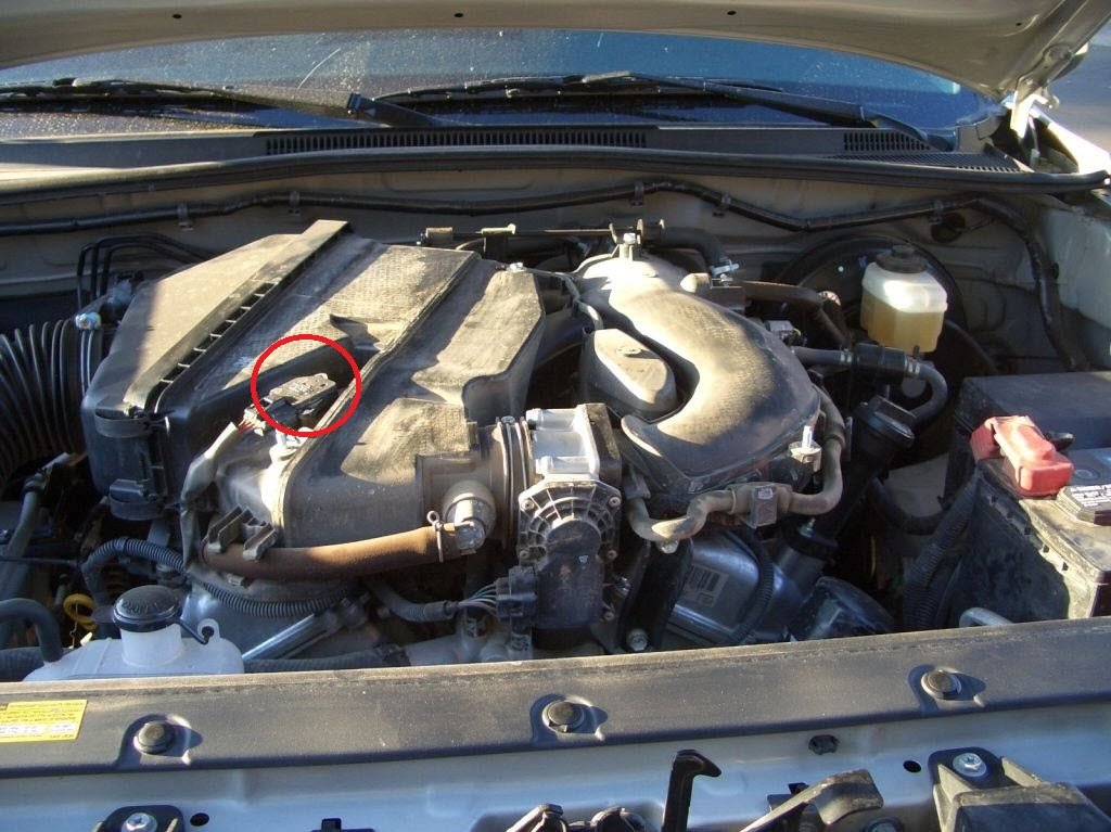 sp07.jpg
