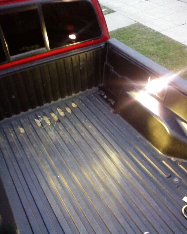 SP_A0966_2d3f5ce9640f47c8c7280bab20afa05255c818e6.jpg