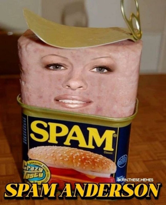 spamela-anderson.png