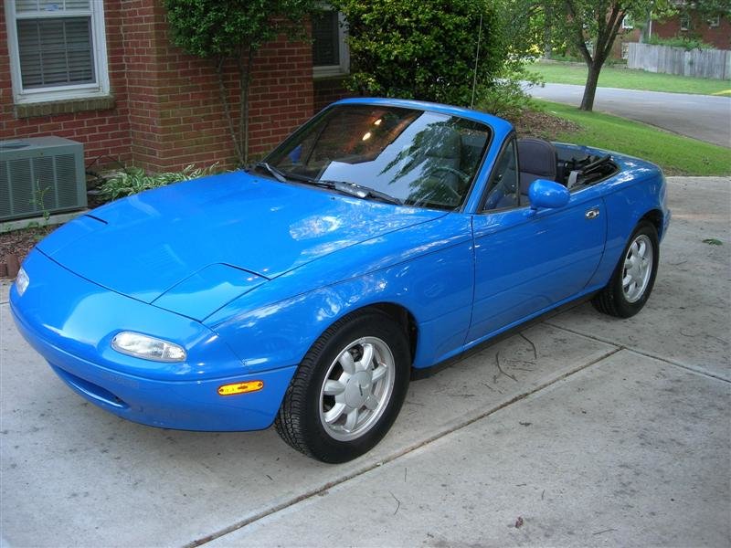 spazmiata01.jpg