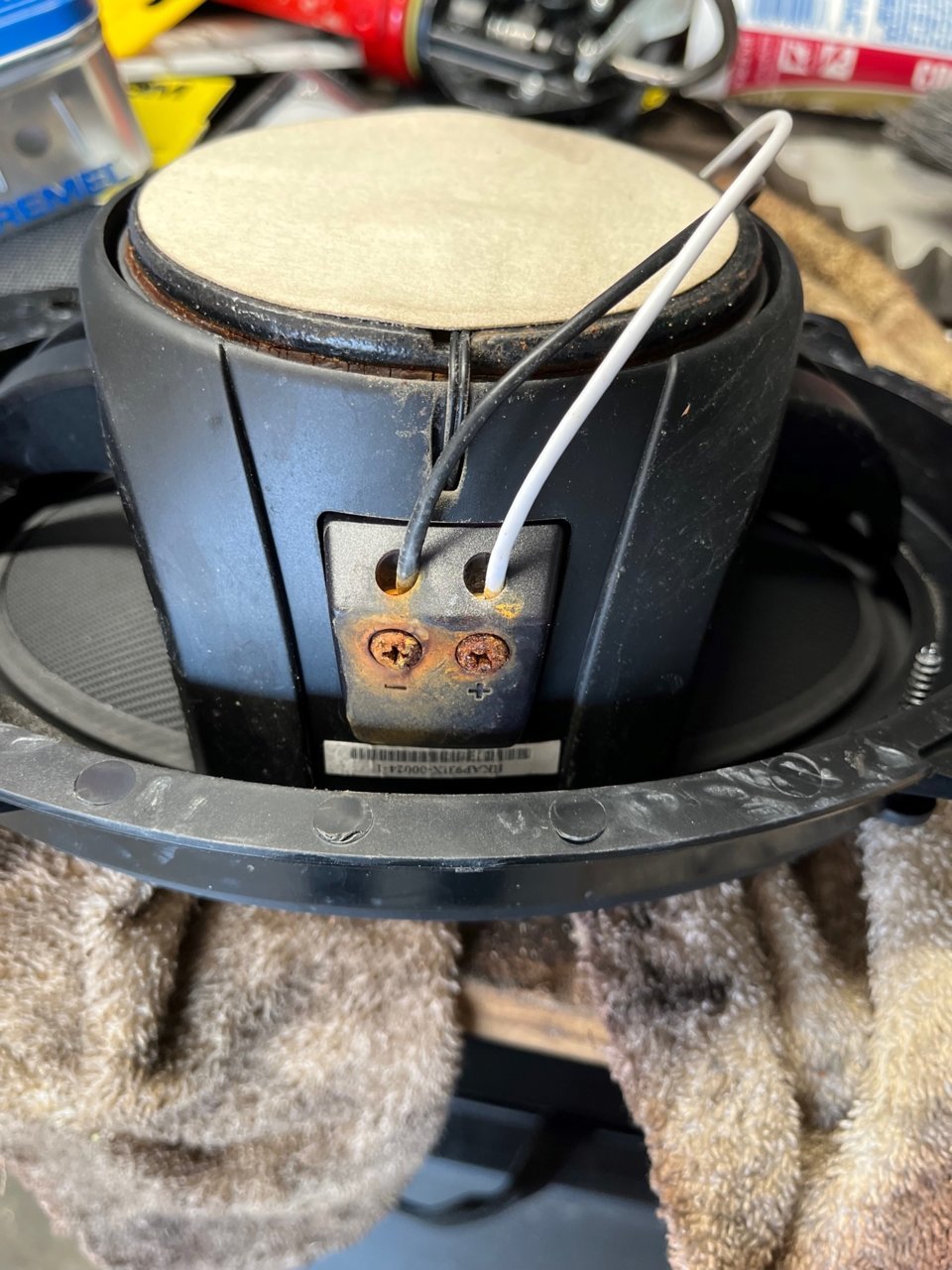 speaker 2.jpg