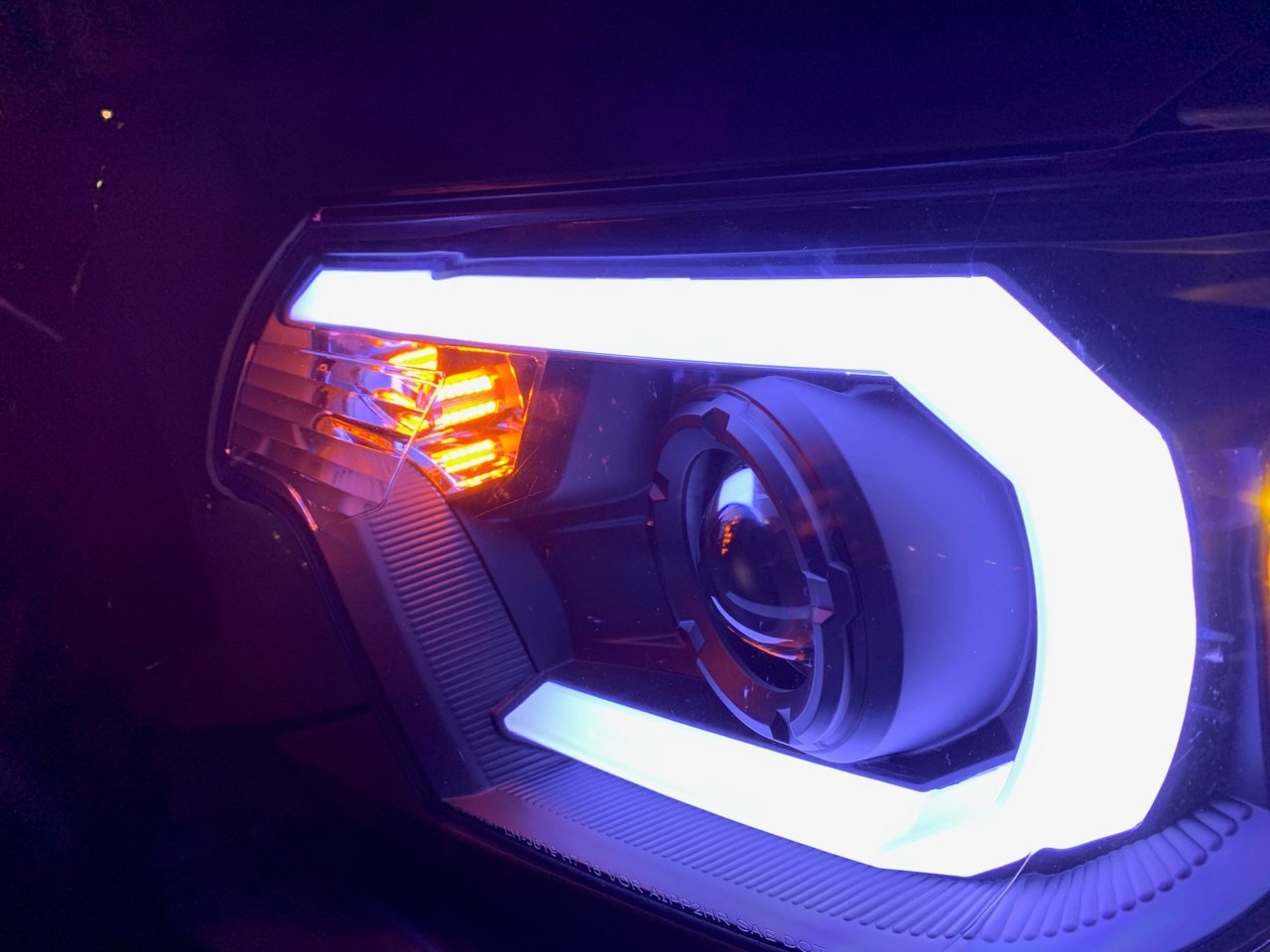 SpecD 004.jpg
