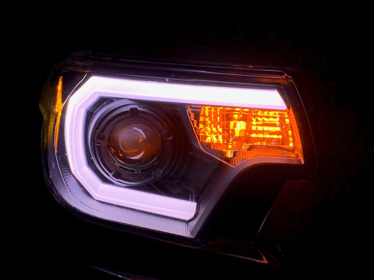 SpecD 005.jpg