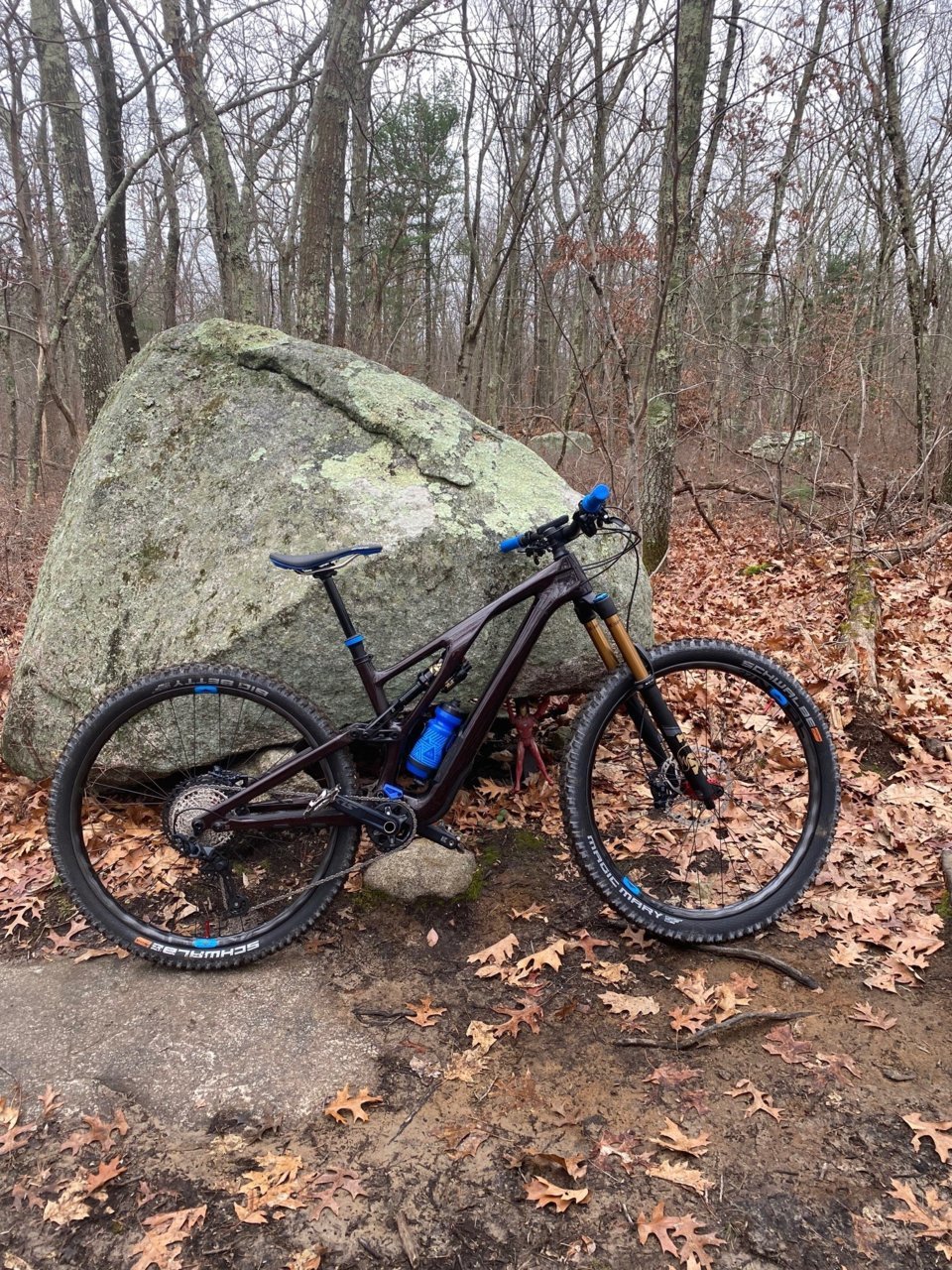 Specialized Stumpjumper Evo.jpg