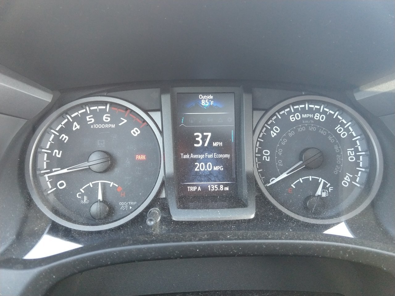 speedo 2.jpg