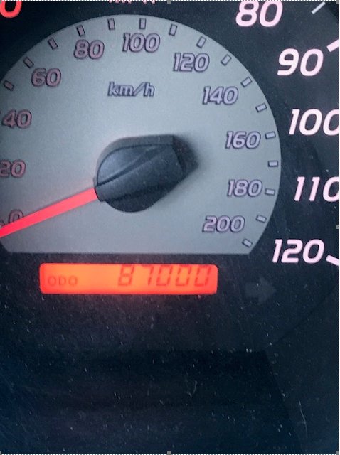 speedo.jpg