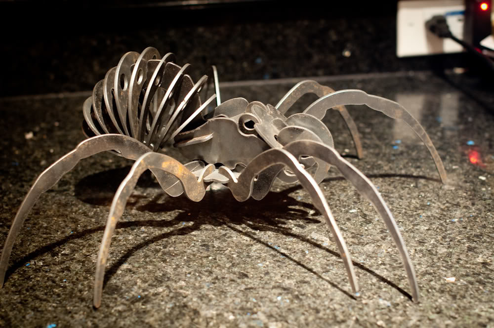 Spider4_6cedd1bca64f6196cbb3e0b8faaf1f777d826c6d.jpg
