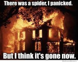 SpiderPanic.jpg