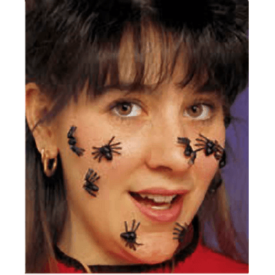 spiders-creepy-spiders-082686018265_3ec989866f4497730e832e8b8eaaf566843715b0.png