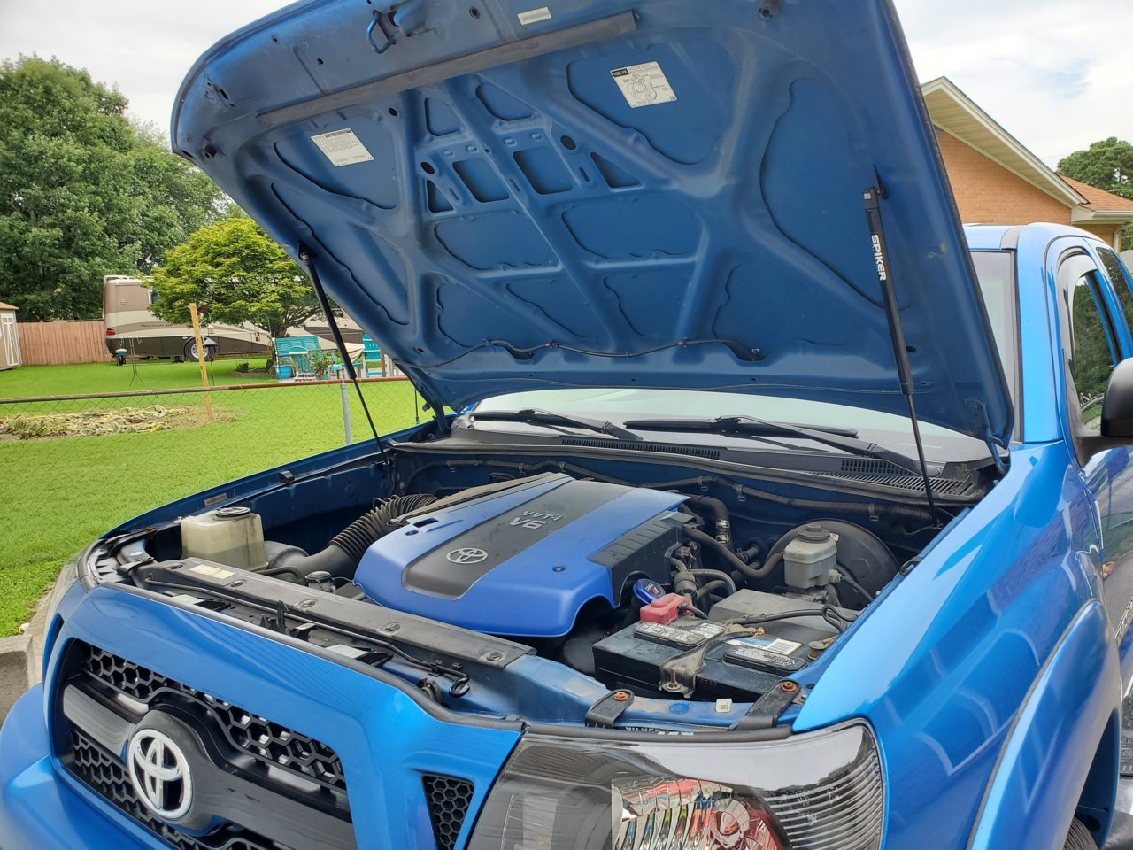 spiker eng hood struts.jpg