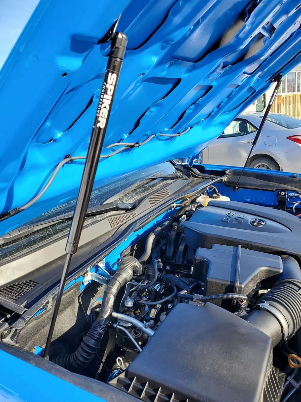 Spiker Engineering Hood Struts.jpg
