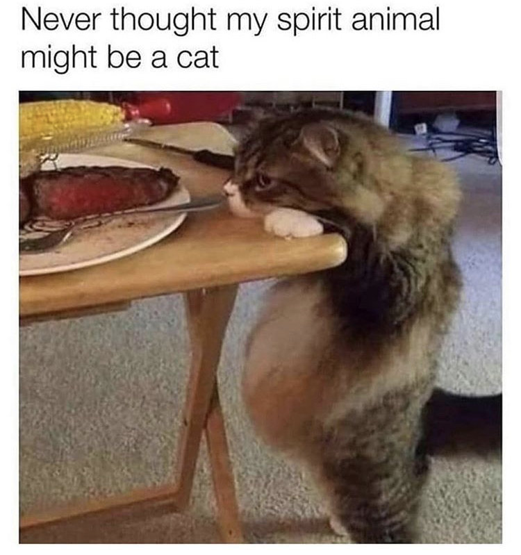 spirit-animal.jpg