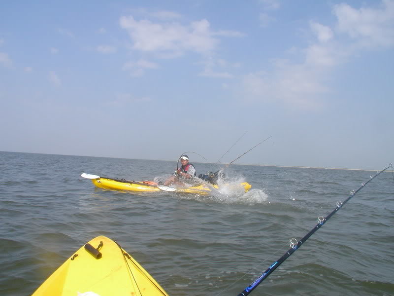 splash_b2a3d233260bf3f0f745c352376d5384f9bc279f.jpg