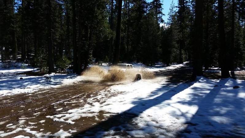 splashing at loon.jpg