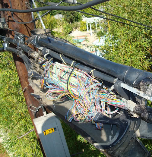 splice_dd3524d60c588131ce87fce7a244c3cdec56d7e2.jpg