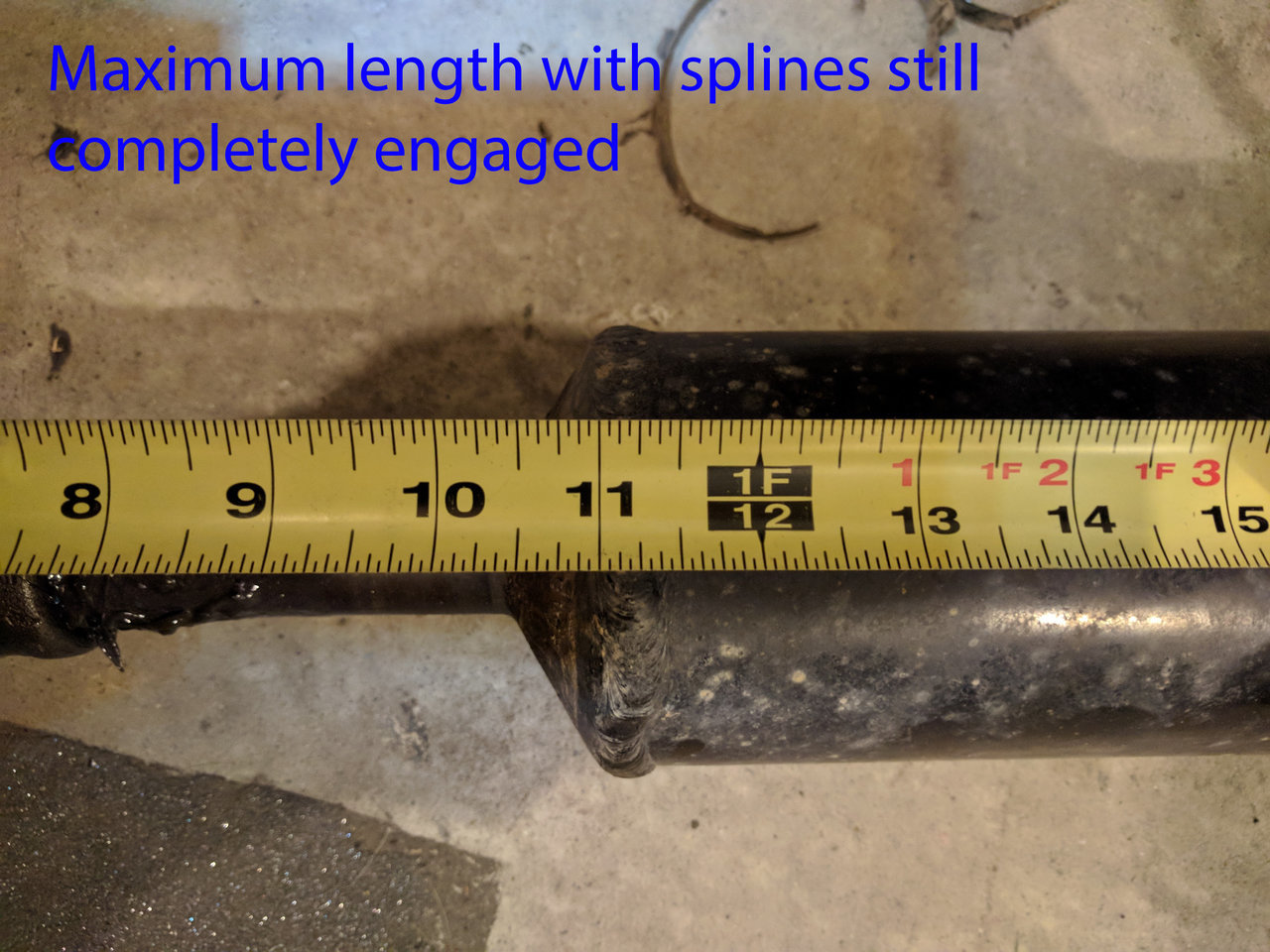 splines max 2.jpg