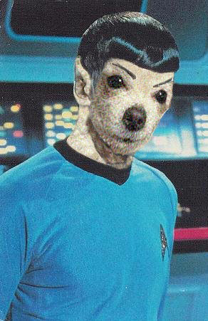 spock-2.jpg