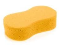 sponge.jpg