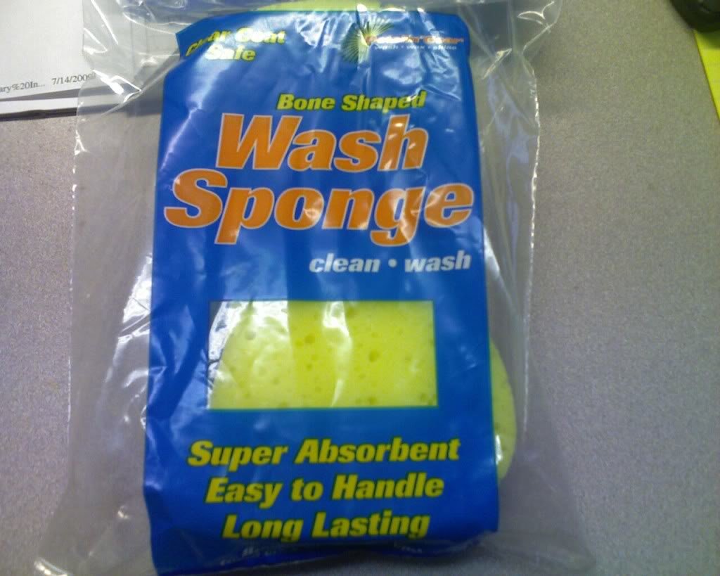 sponge1_4bb10b49844265503552451b953696a988eeb346.jpg