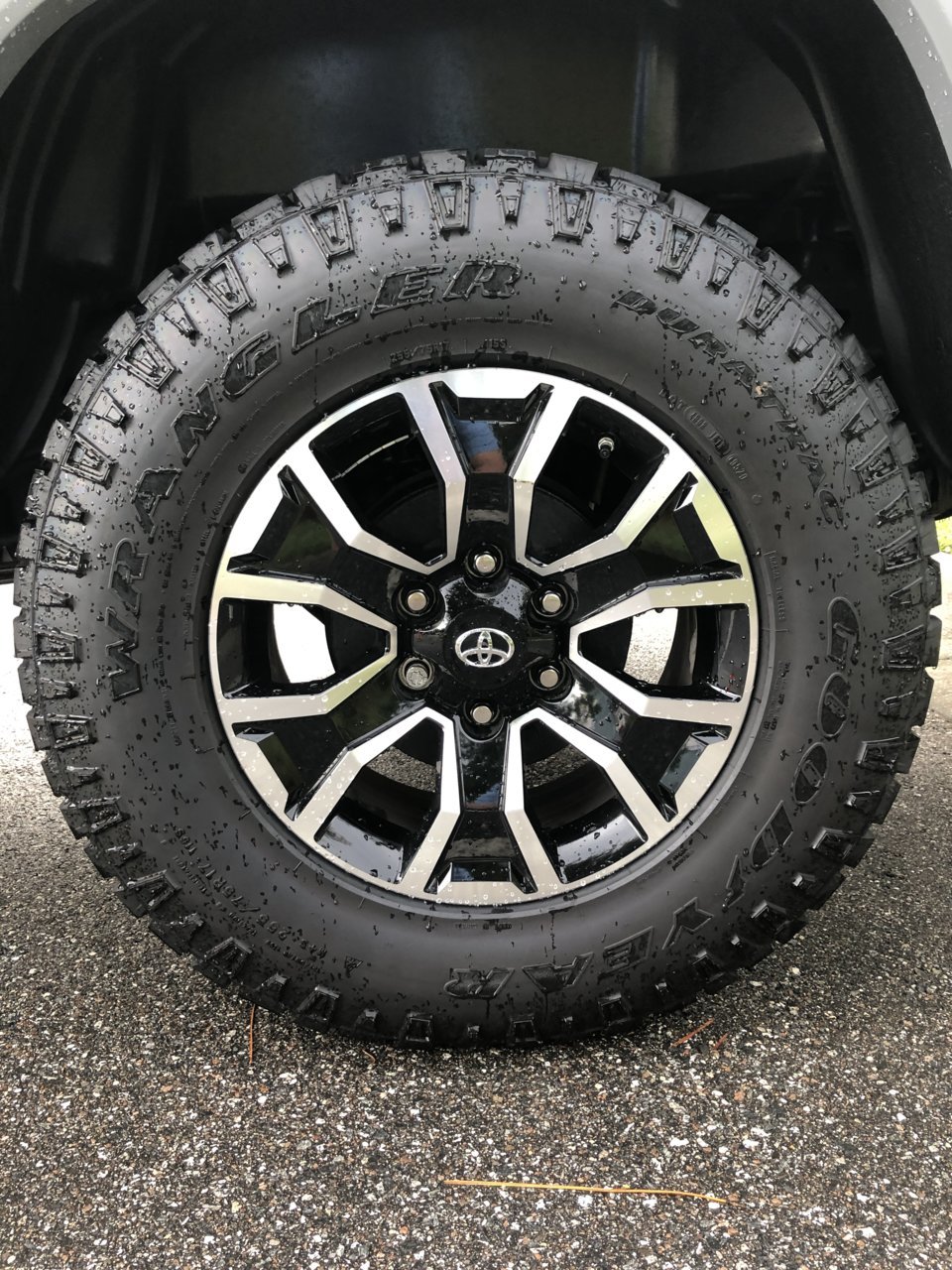 Sport wheel.jpg