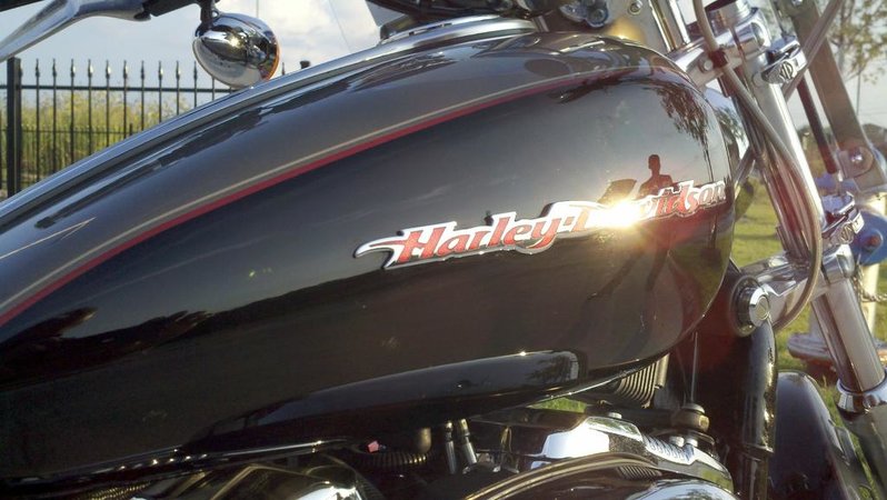 SPORTSTER 3.jpg