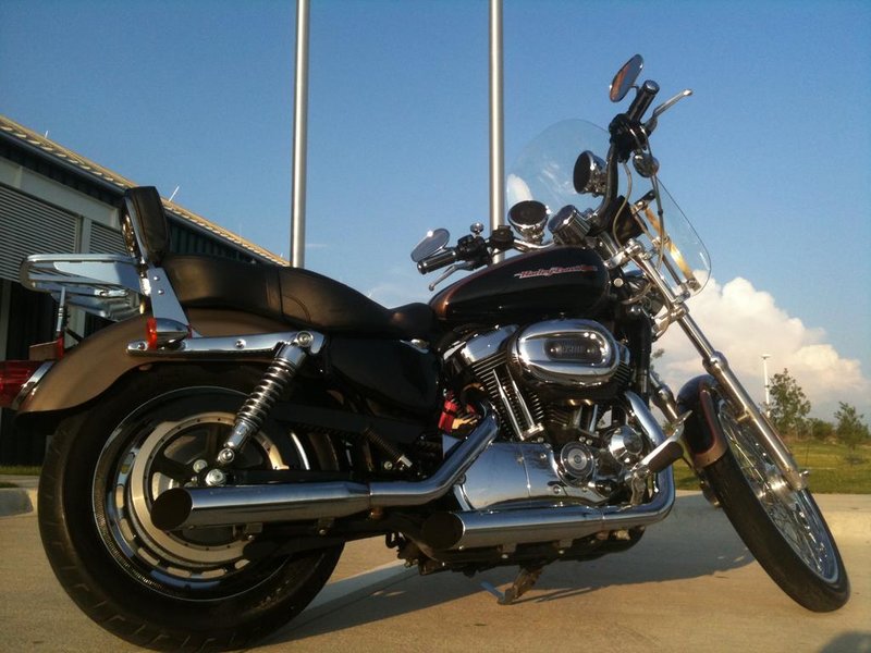SPORTSTER 6.jpg
