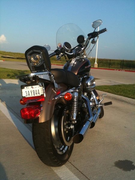 SPORTSTER 7.jpg