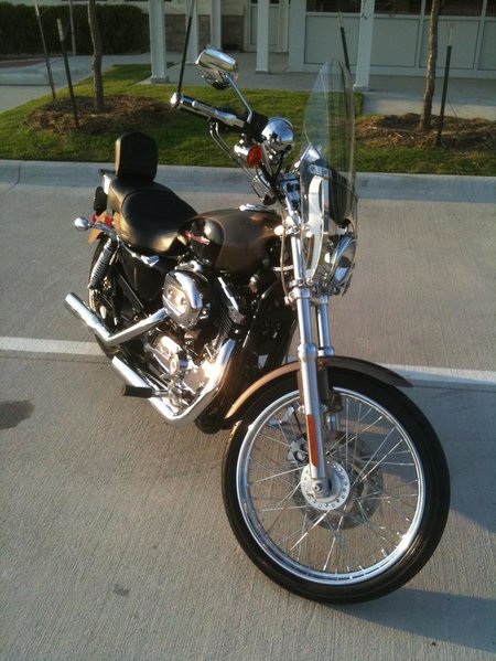 SPORTSTER 9.jpg