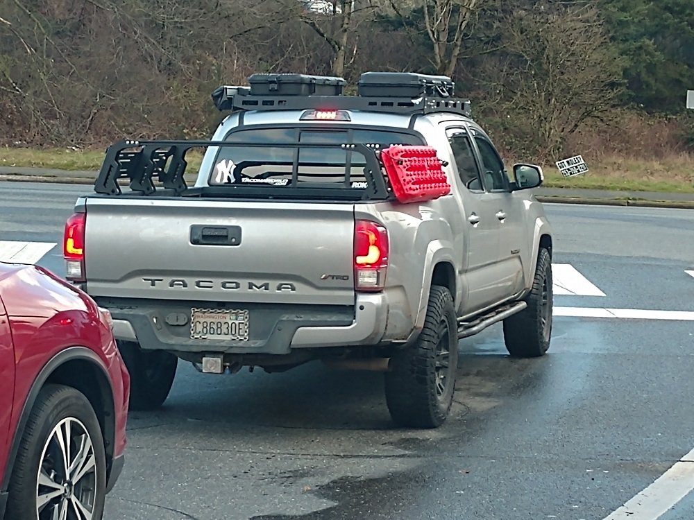 spotted-issaquah.jpg