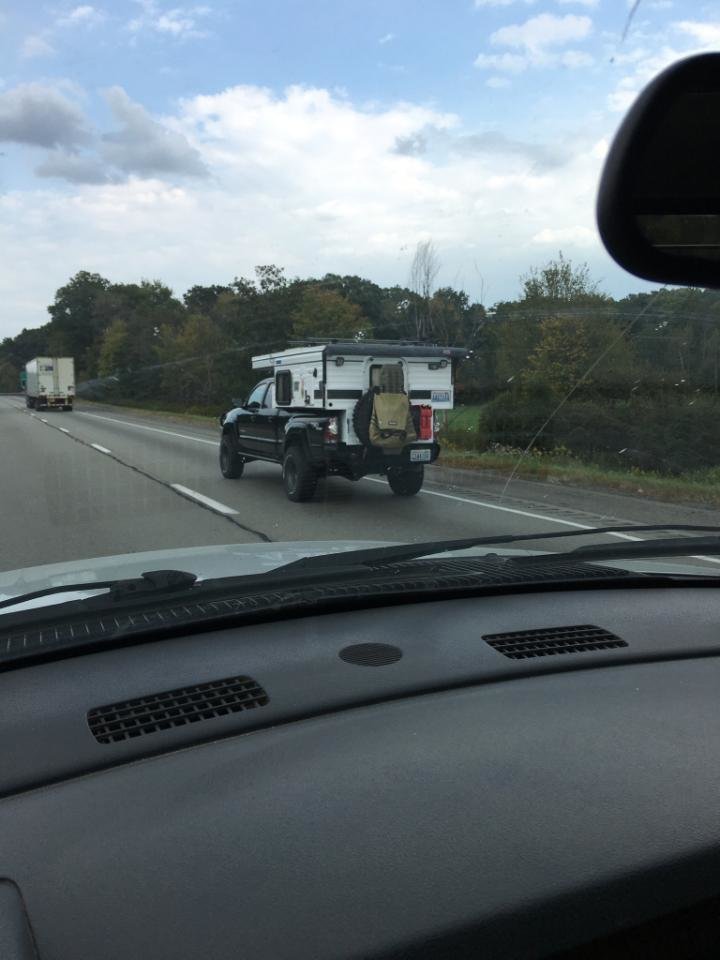 spotted.jpg