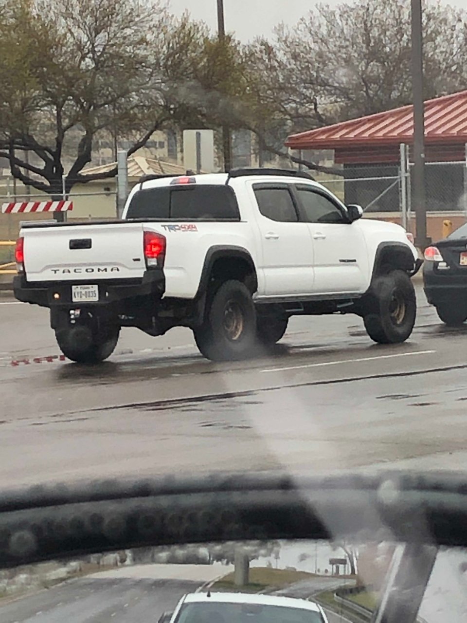 spotted.jpg
